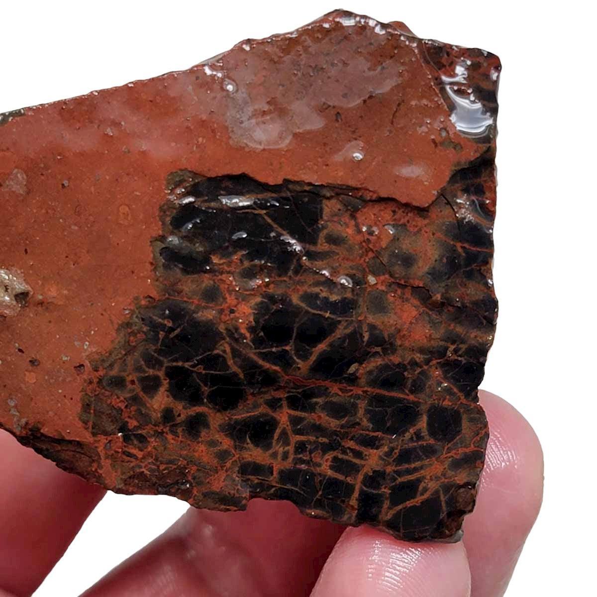 Spiderman Jasper Rough Chunk! - LapidaryCentral