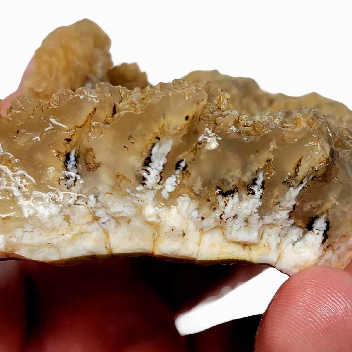 Stinking Water Plume Agate Rough Chunk! - LapidaryCentral