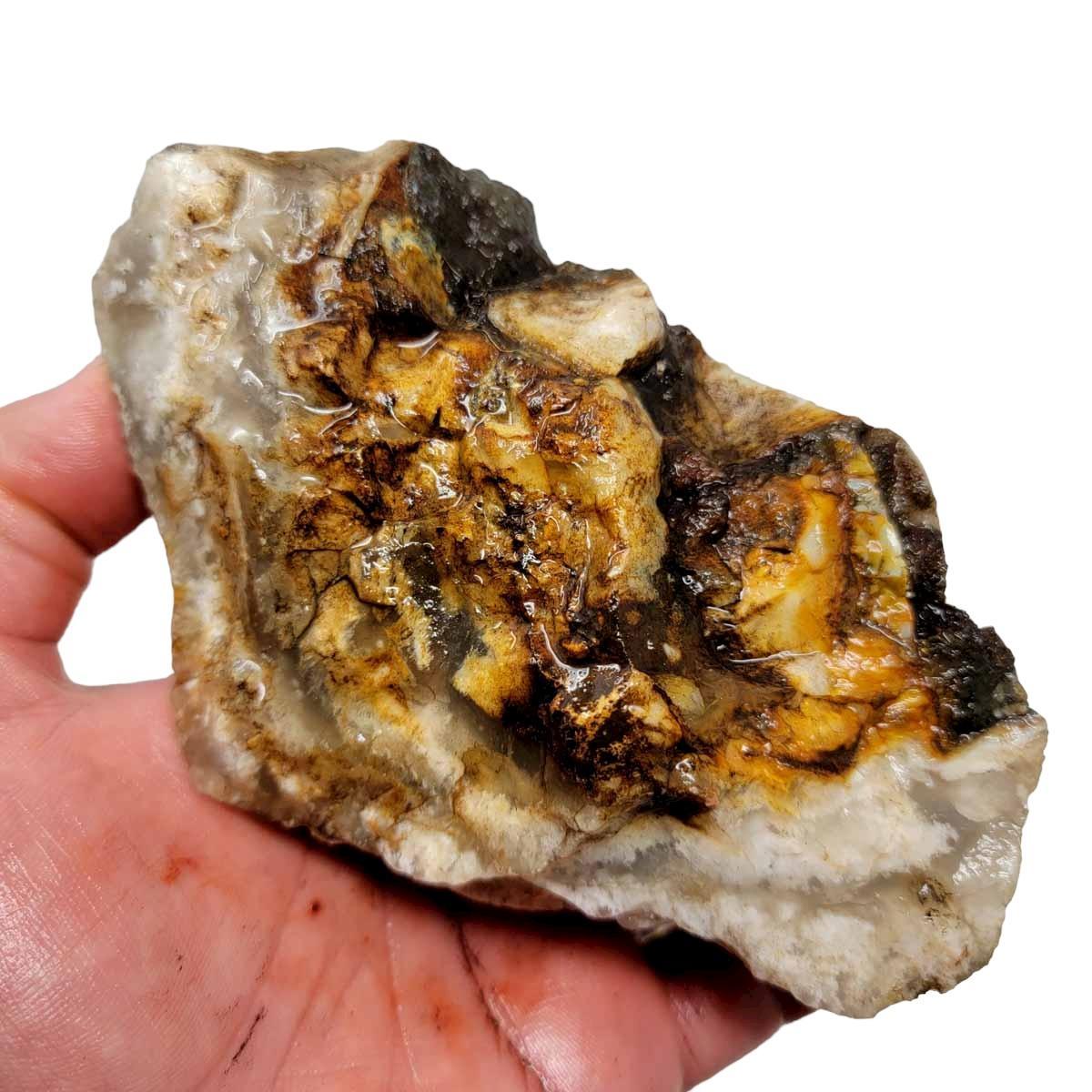 Stinking Water Plume Agate Rough Chunk! - LapidaryCentral