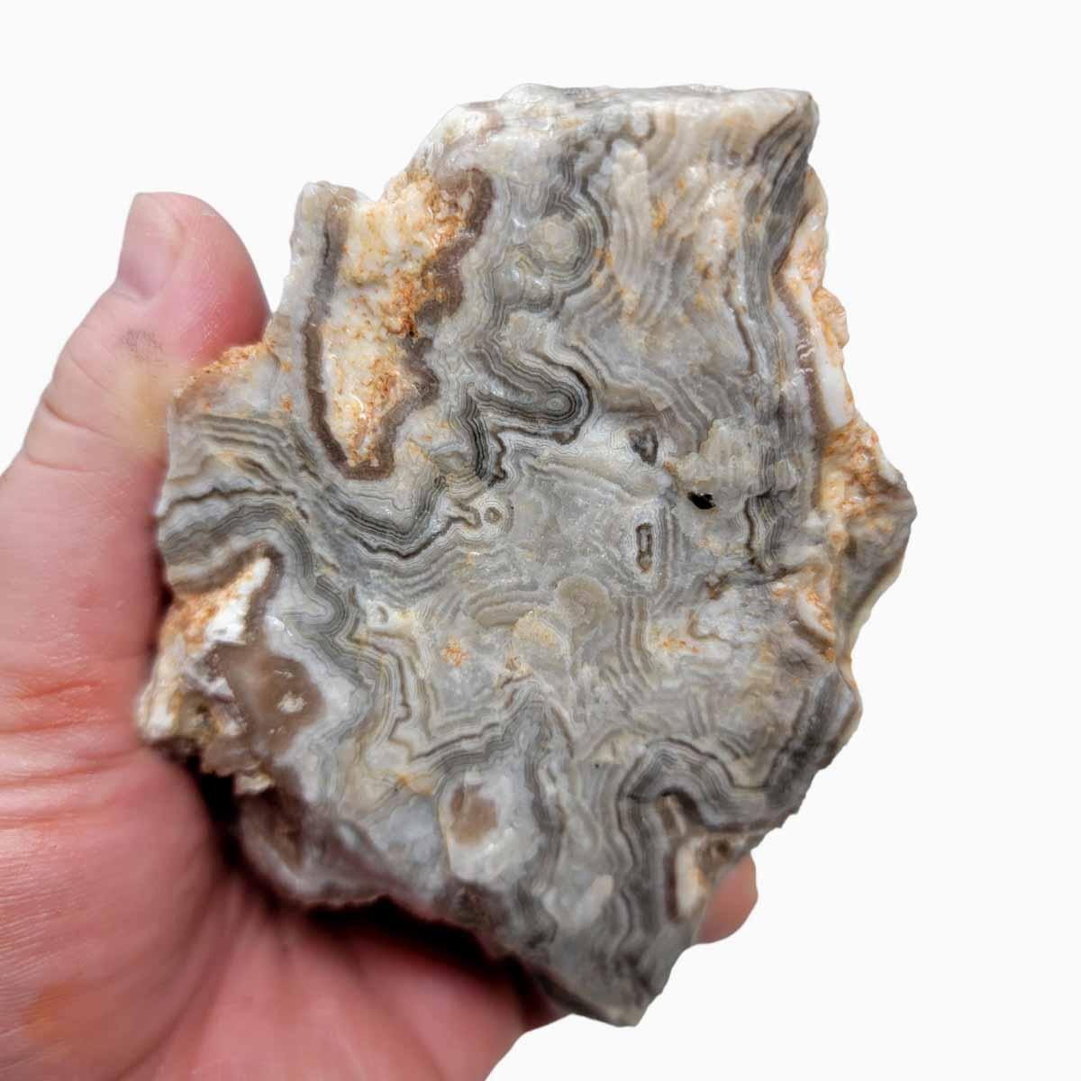 Summerville Crazy Lace Agate Lapidary Rough Chunk! - LapidaryCentral