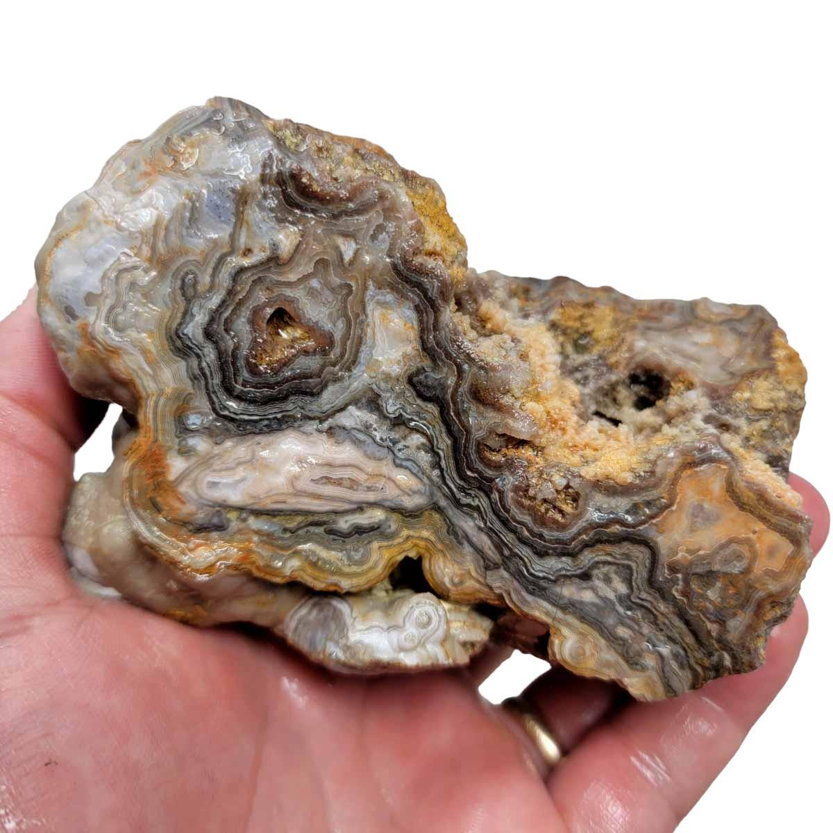 Summerville Crazy Lace Agate Lapidary Rough Chunk! - LapidaryCentral