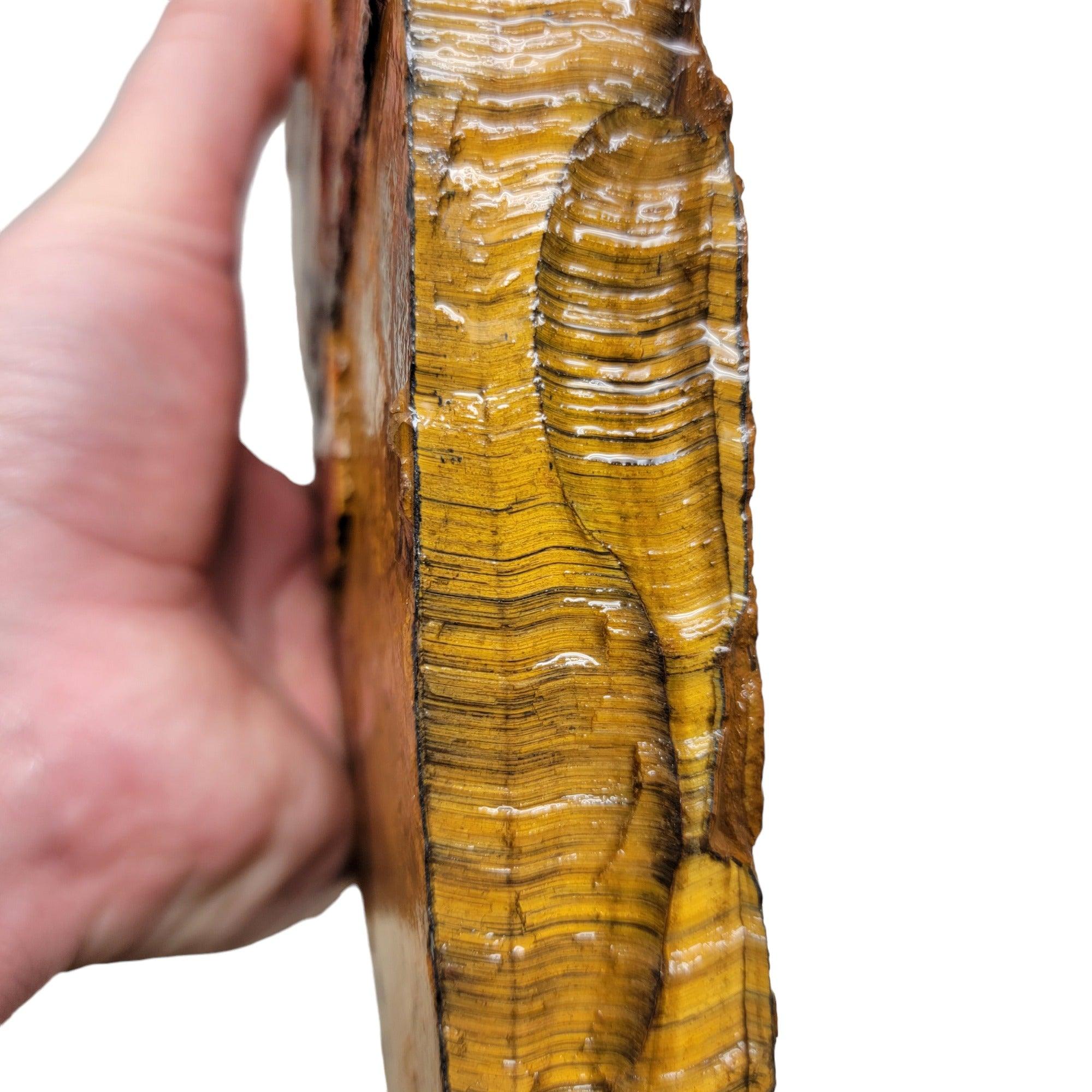 Golden Tigereye Rough Chunk! - LapidaryCentral