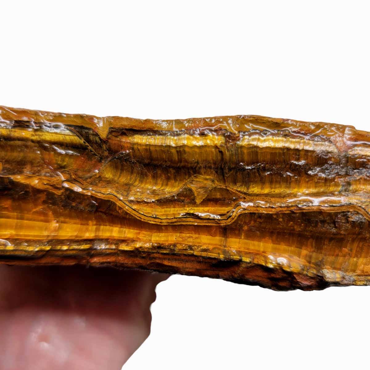 Golden Tigereye Rough Chunk! - Lapidary Central