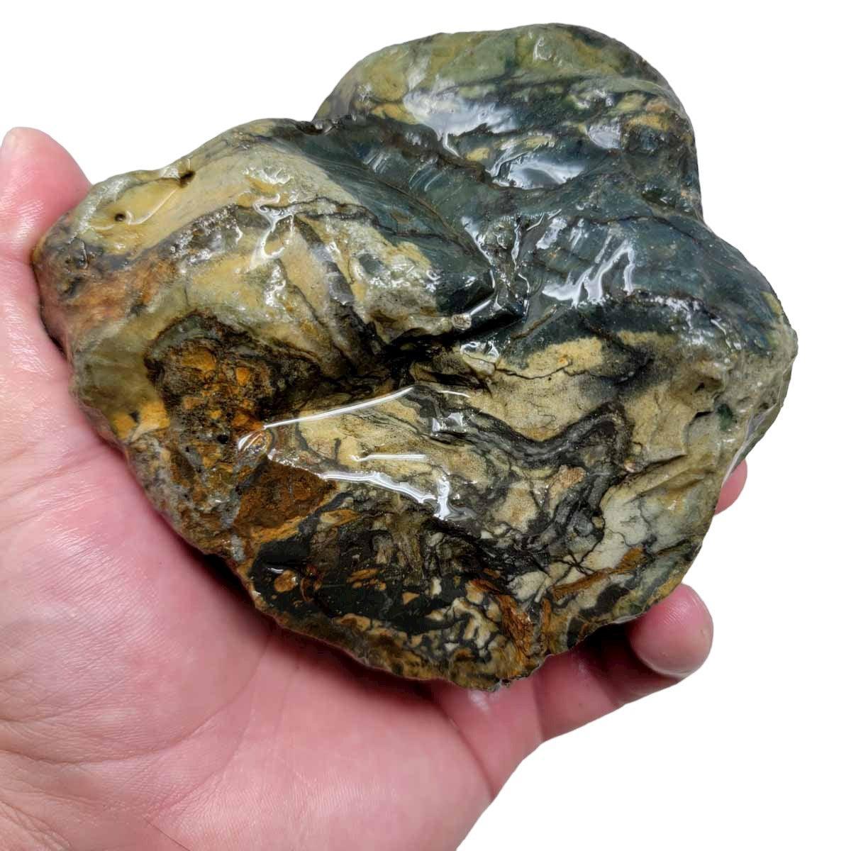 Possibly Vistaite Jasper Rough Chunk! - LapidaryCentral