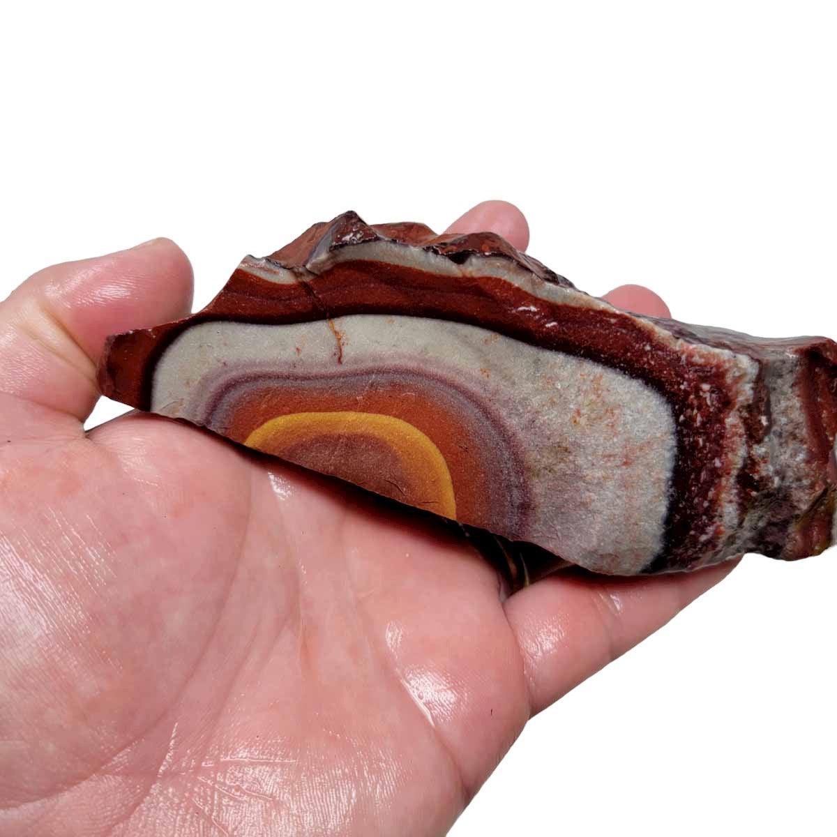 Wonderstone Jasper Rough Chunk! - LapidaryCentral