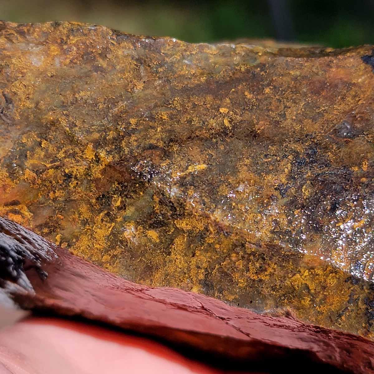 Ochoco Sunset Jasper Agate Rough Flatrate Box! - LapidaryCentral