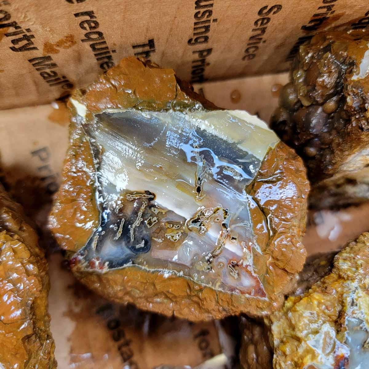 Old Stock Oregon Thunderegg Cutting Rough Flatrate! - Lapidary Central