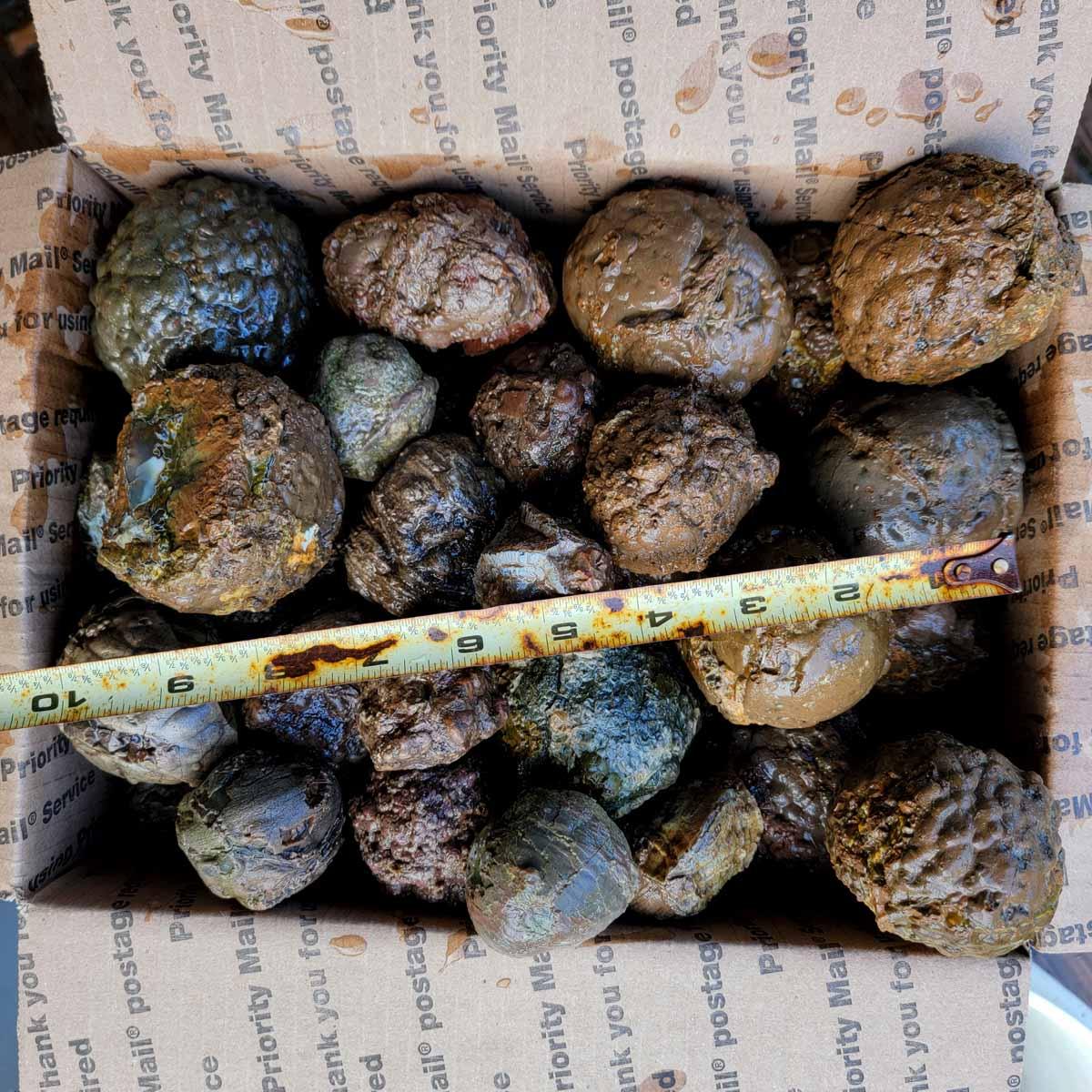 Old Stock Oregon Thunderegg Cutting Rough Flatrate! - Lapidary Central