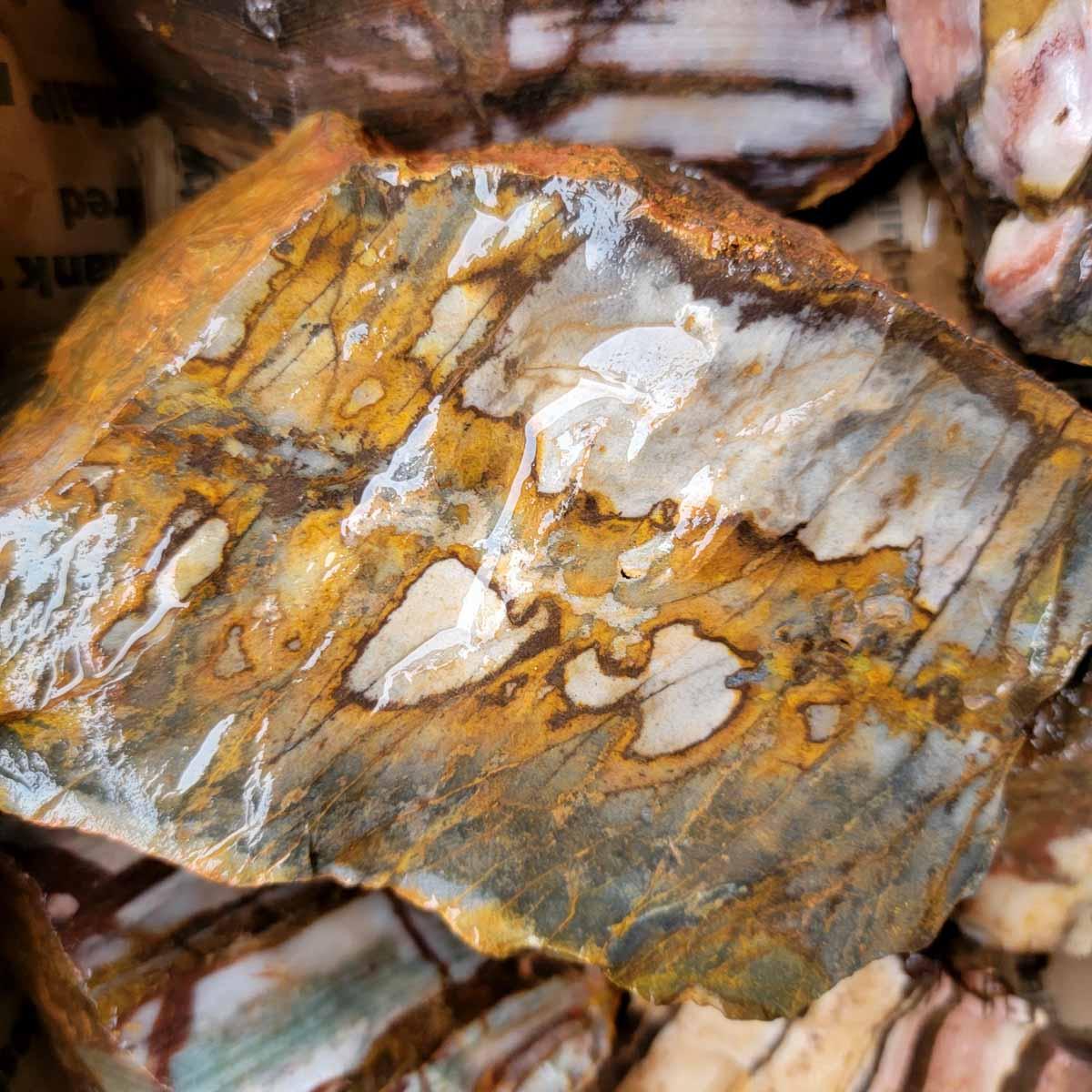 Australian Outback Jasper Cutting Rough Flatrate! - LapidaryCentral