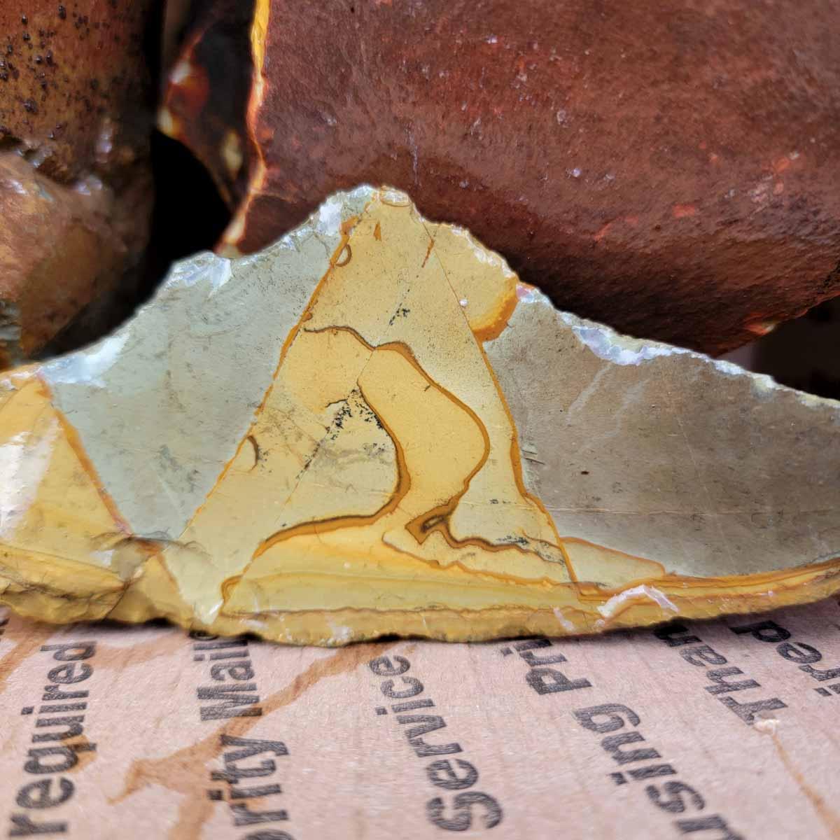 Old Stock Owyhee Picture Jasper Cutting Rough Flatrate! - Lapidary Central