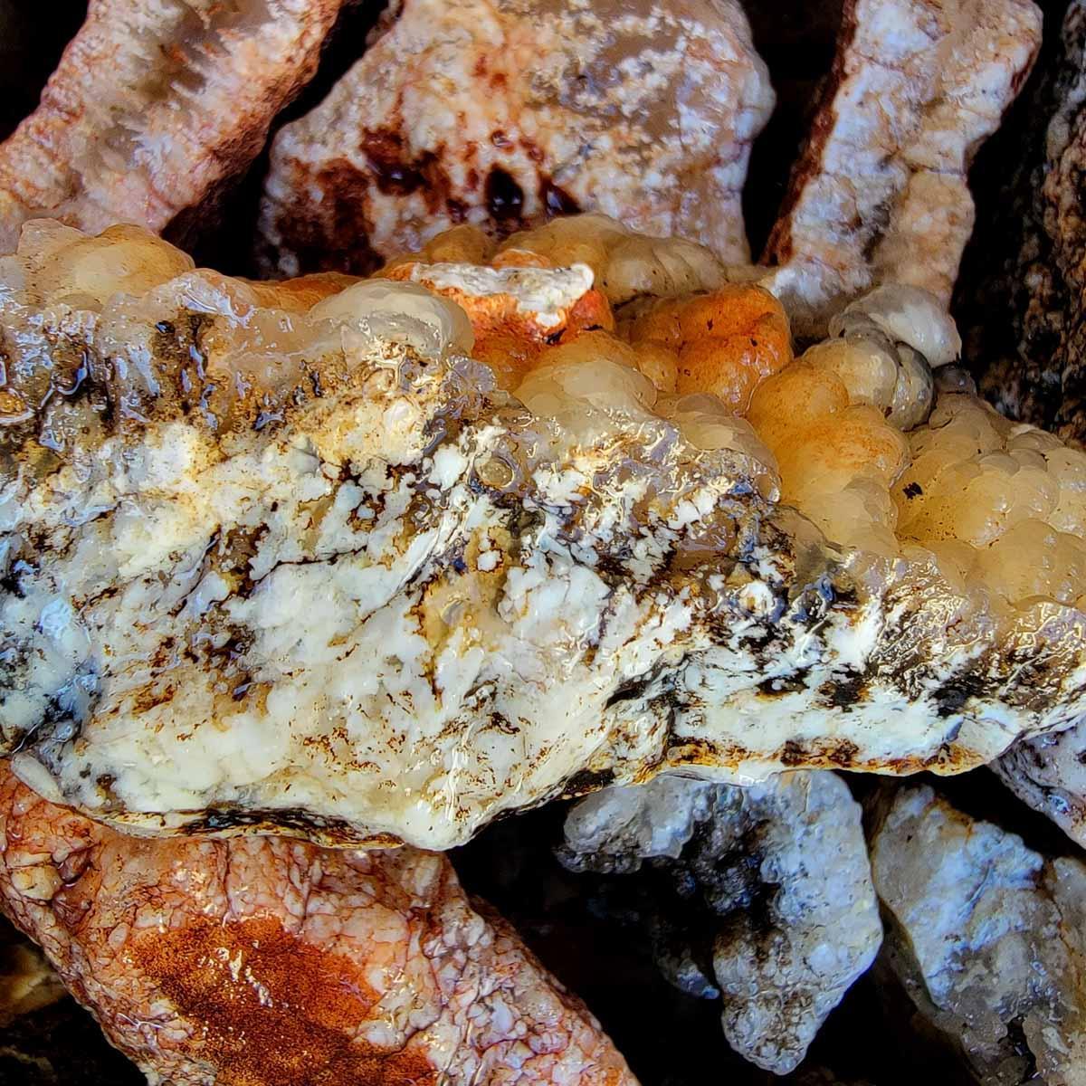 Old Stock Stinking Water Plume Agate Cutting Rough Flatrate! - LapidaryCentral