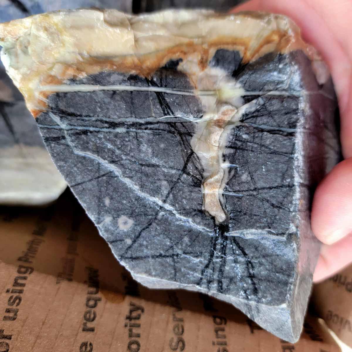 Utah Picasso Jasper Cutting Rough Flatrate! - Lapidary Central