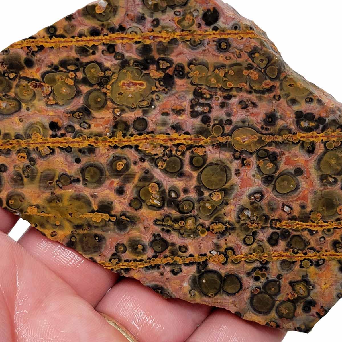 Leopard Skin Rhyolite Slab! Lapidary Stone Slab! - LapidaryCentral