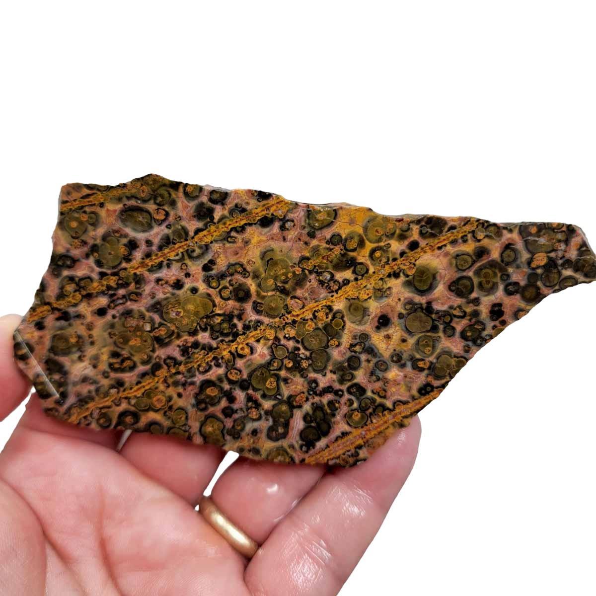 Leopard Skin Rhyolite Slab! Lapidary Stone Slab! - LapidaryCentral