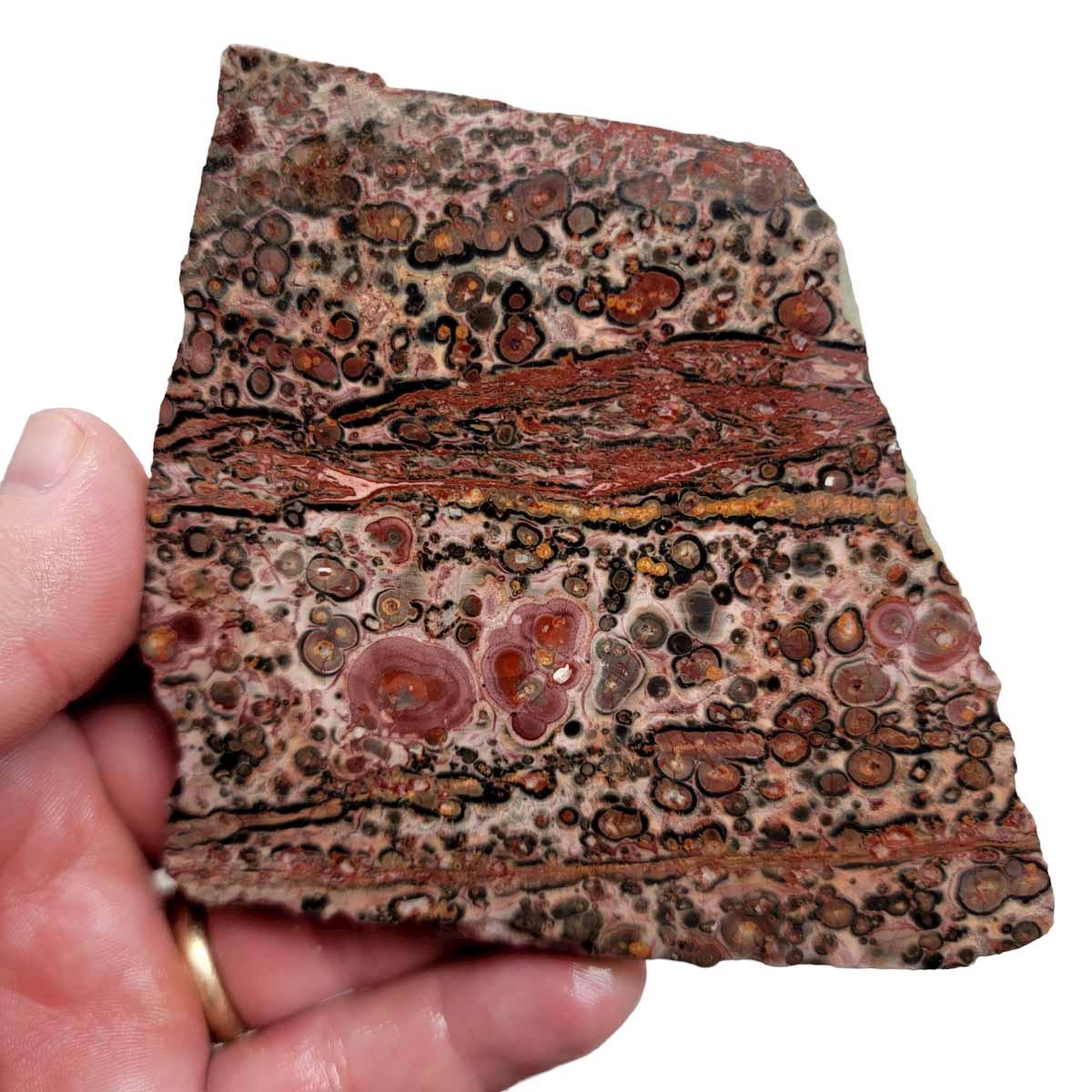 Leopard Skin Rhyolite Slab! Lapidary Stone Slab! - LapidaryCentral