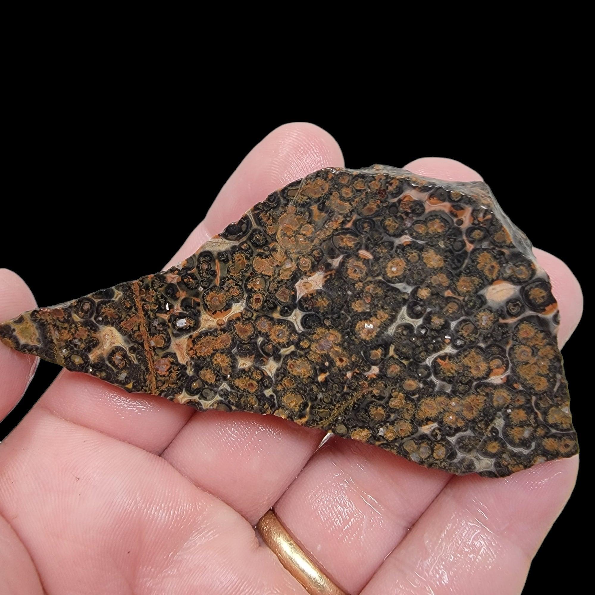 Leopard Skin Rhyolite Slab! Lapidary Stone Slab! - LapidaryCentral