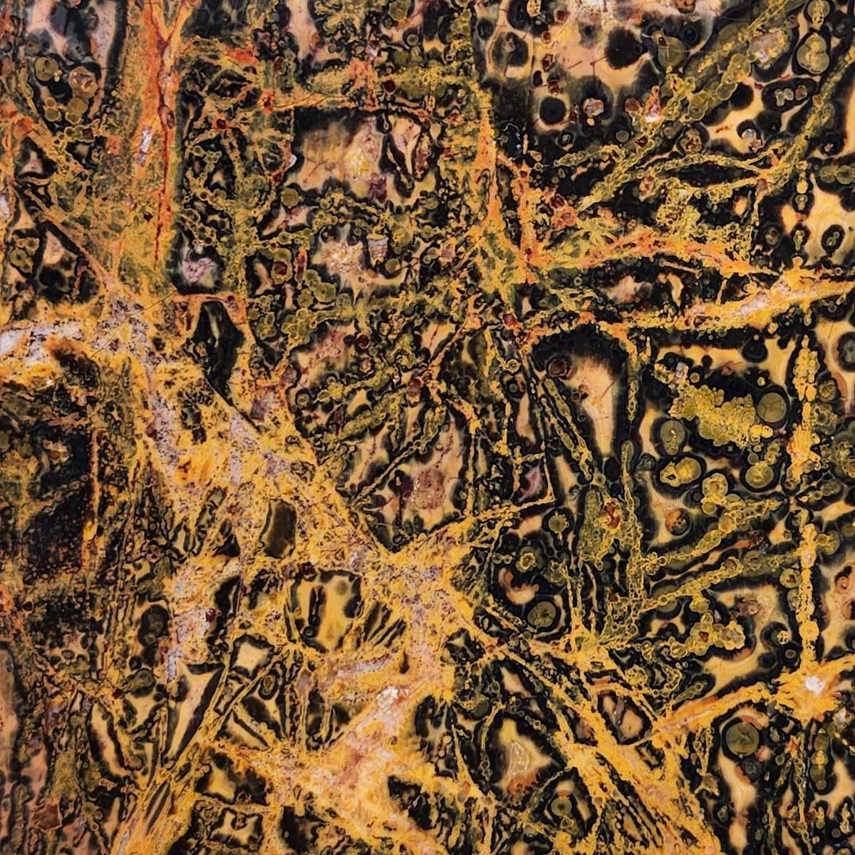 Leopard Skin Rhyolite Slab! Lapidary Stone Slab! - LapidaryCentral