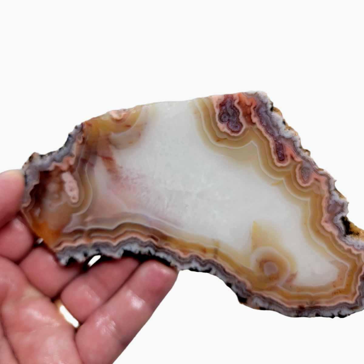 Moroccan Nodule Agate Slab! Lapidary Stone Slab! - LapidaryCentral