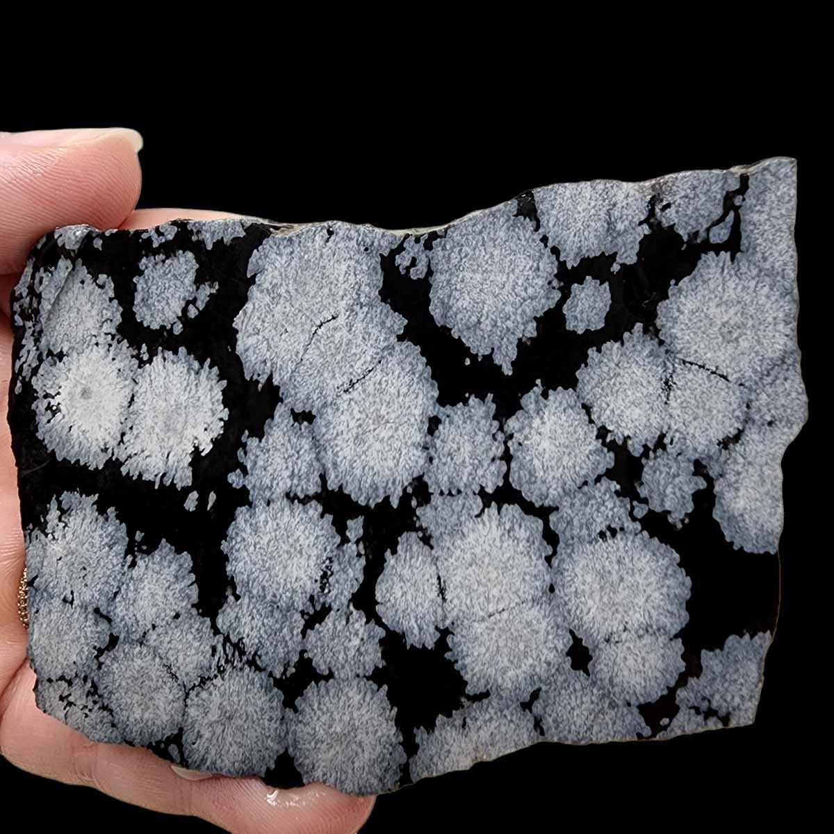 Snowflake Obsidian Slab! Lapidary Stone Slab! - LapidaryCentral