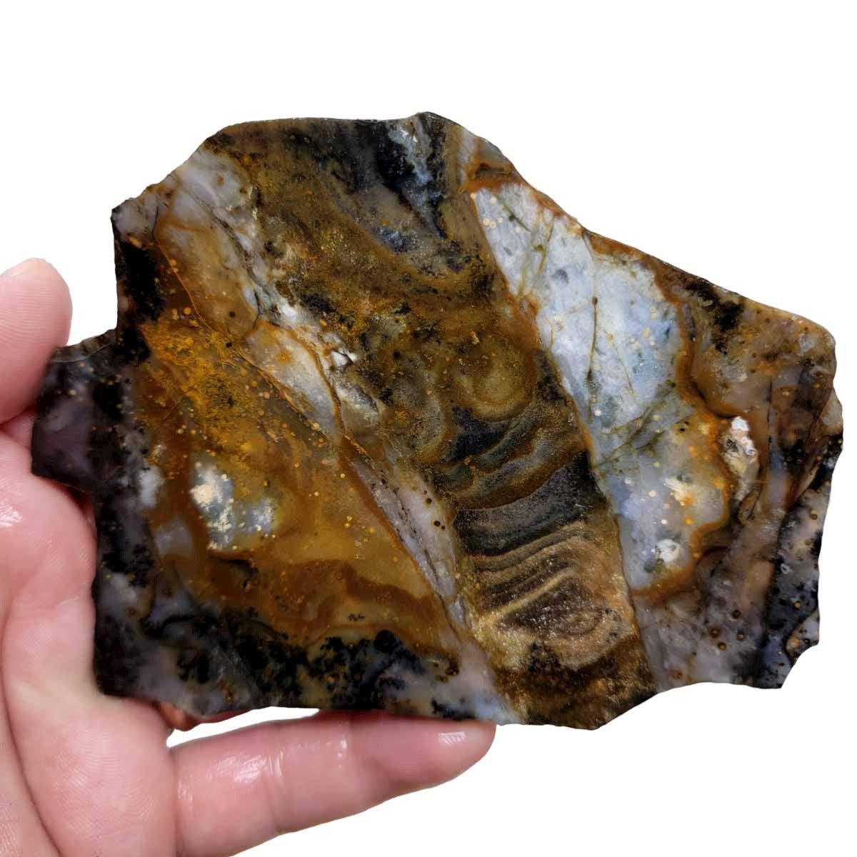 Ochoco Sunset Agate Slab! Lapidary Stone Slab! - LapidaryCentral