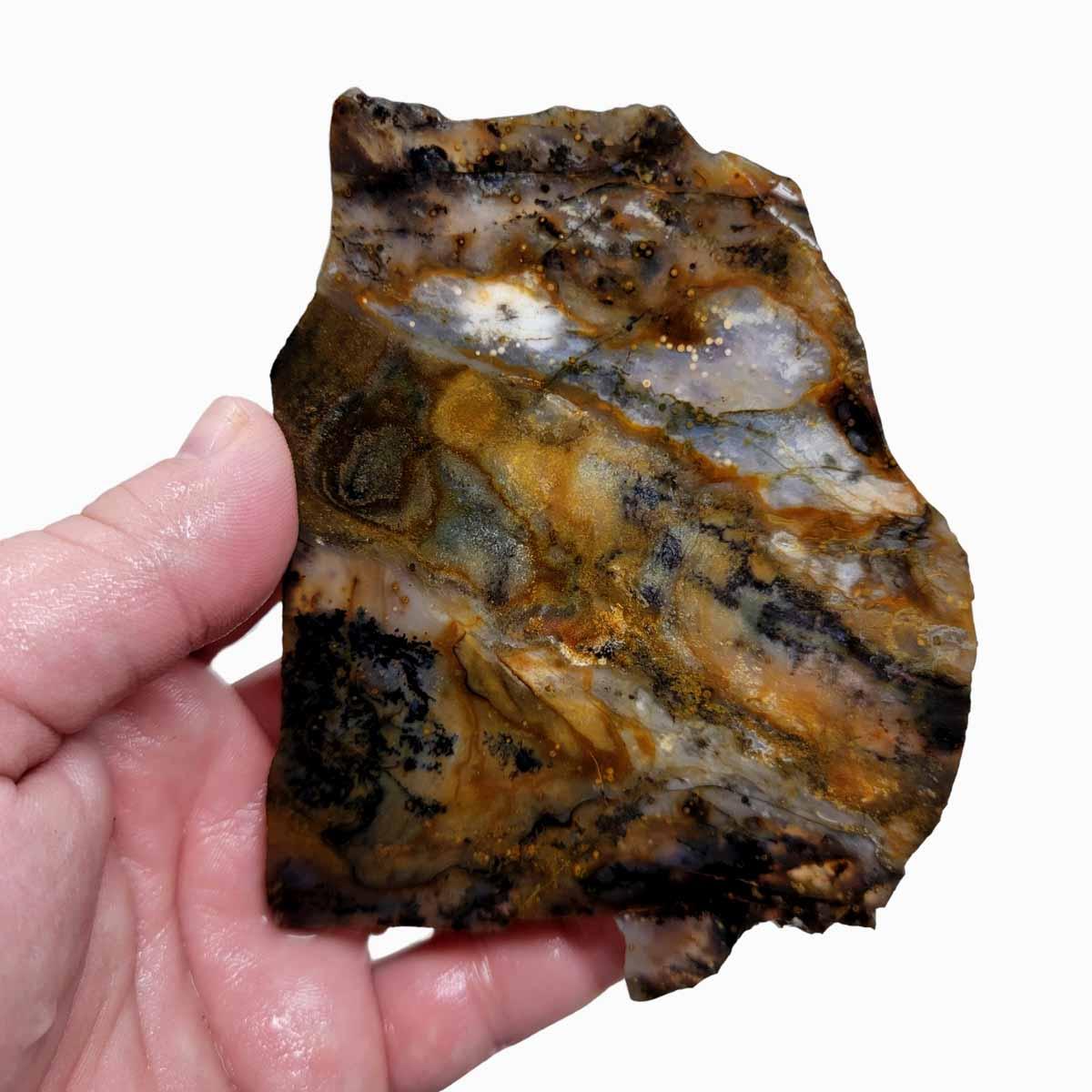 Ochoco Sunset Agate Slab! Lapidary Stone Slab! - LapidaryCentral