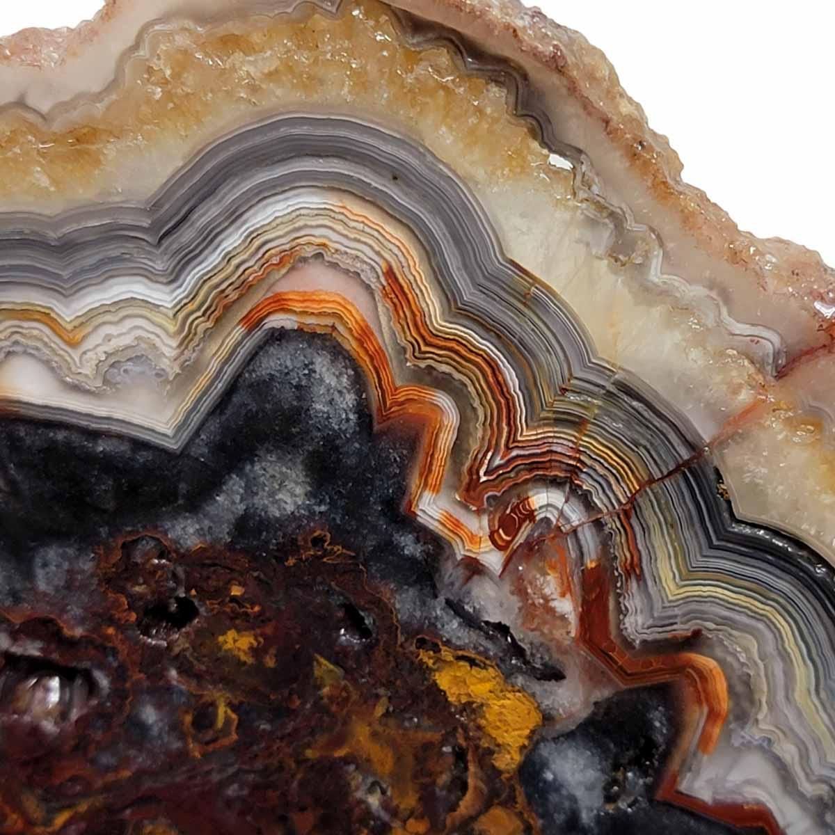 Old Vein Crazy Lace Agate Slab! Lapidary Stone Slab! - LapidaryCentral