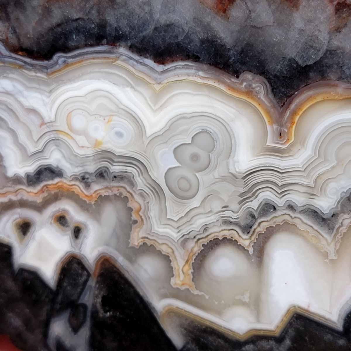 Old Vein Crazy Lace Agate Slab! Lapidary Stone Slab! - LapidaryCentral
