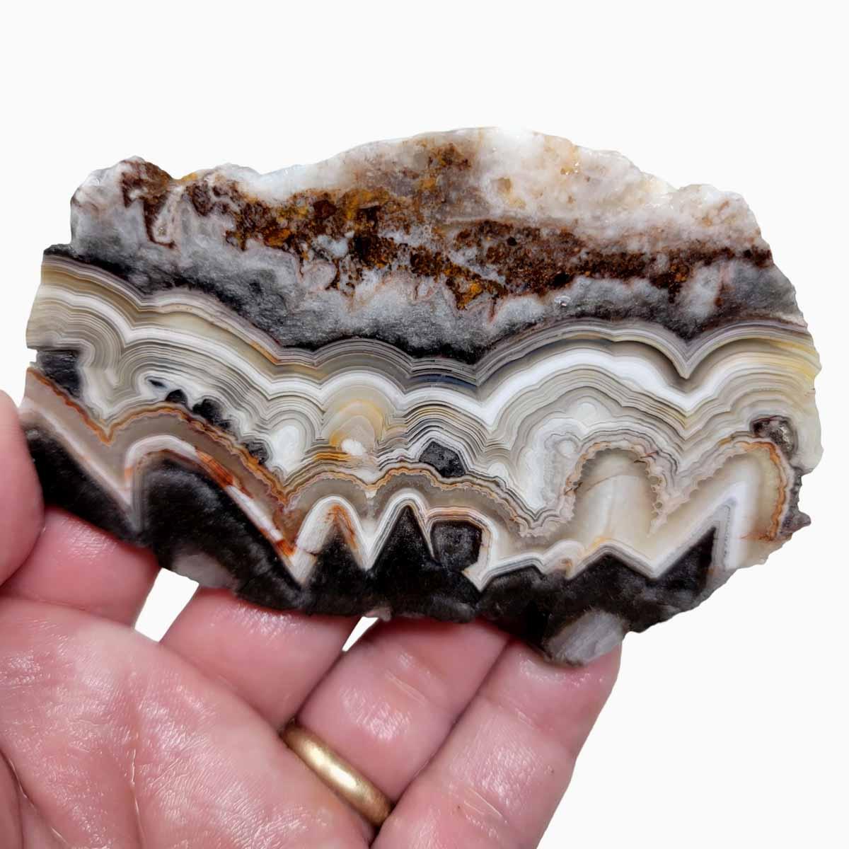 Old Vein Crazy Lace Agate Slab! Lapidary Stone Slab! - LapidaryCentral