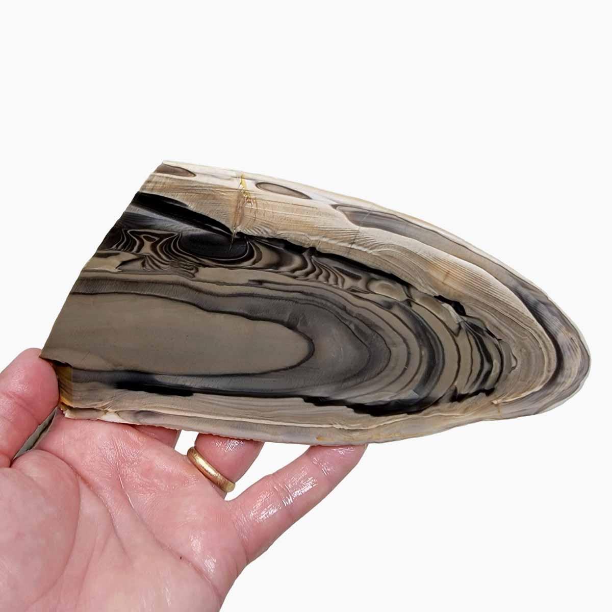 RARE Polish Flint Lapidary Stone Slab! - Lapidary Central