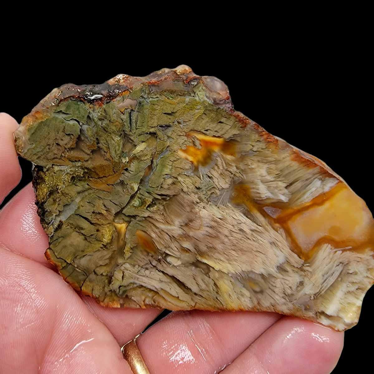 Shrinkwood Petrified Wood Slab! Lapidary Stone Slab! - LapidaryCentral