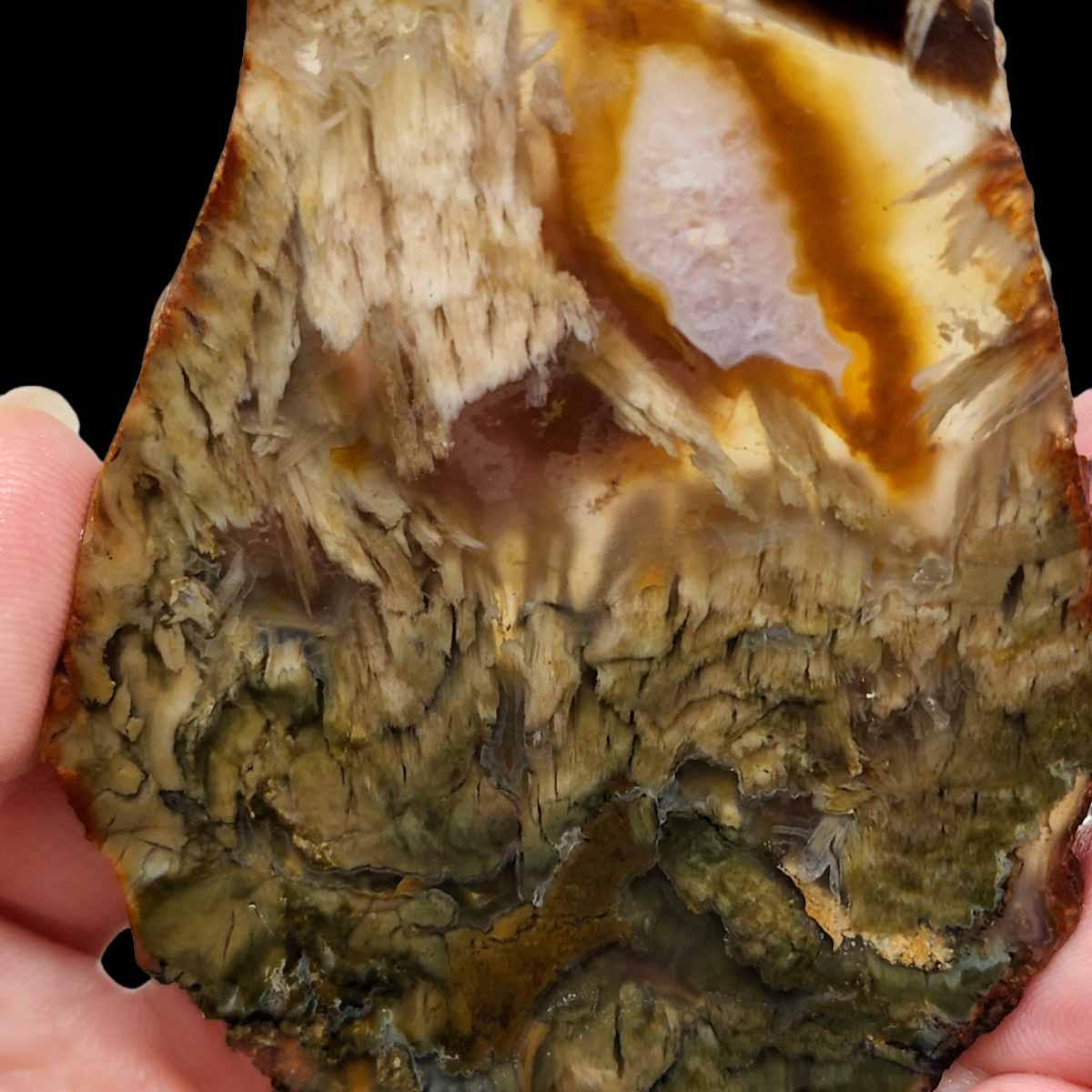 Shrinkwood Petrified Wood Slab! Lapidary Stone Slab! - LapidaryCentral