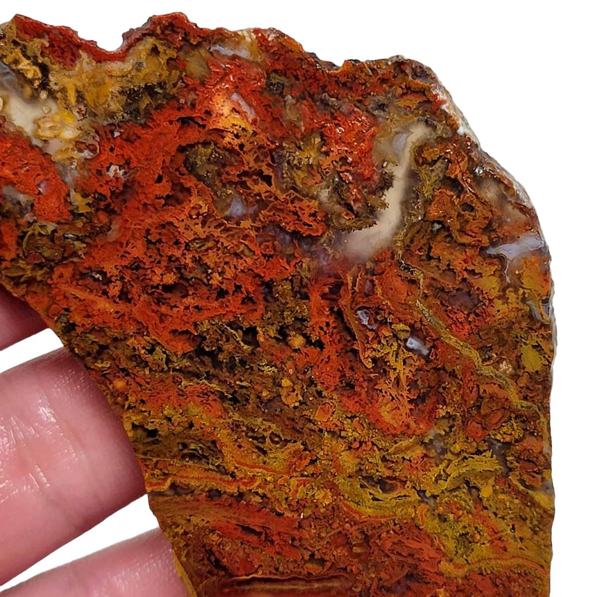 San Carlos Agate Slab! Lapidary Stone Slab! - Lapidary Central