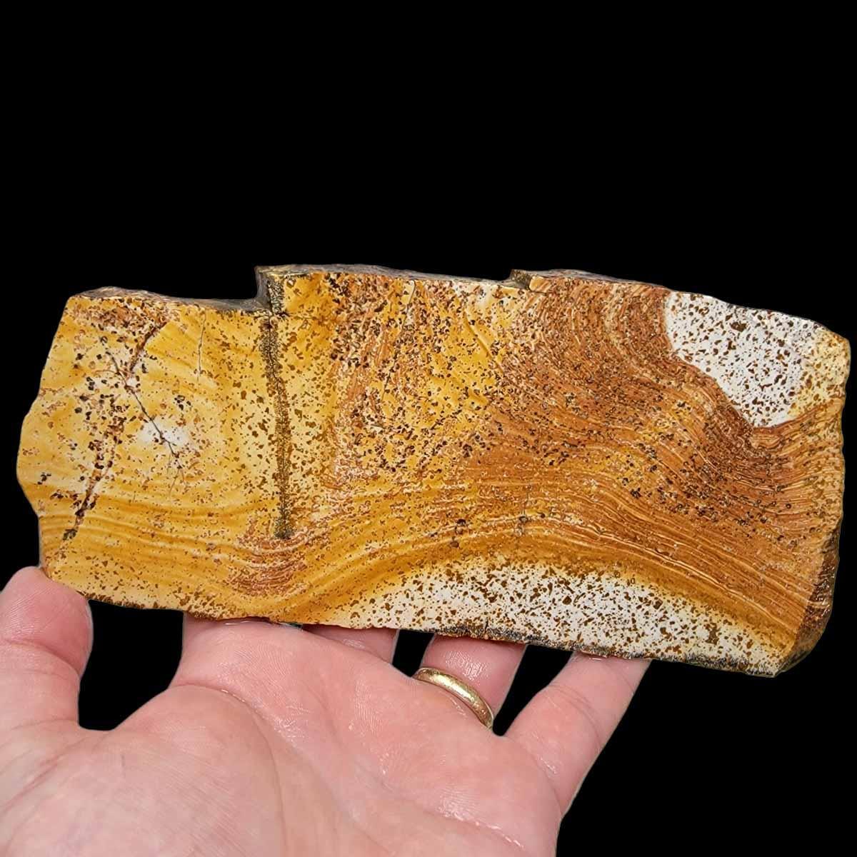 Sandstone Slab! Lapidary Stone Slab! - LapidaryCentral