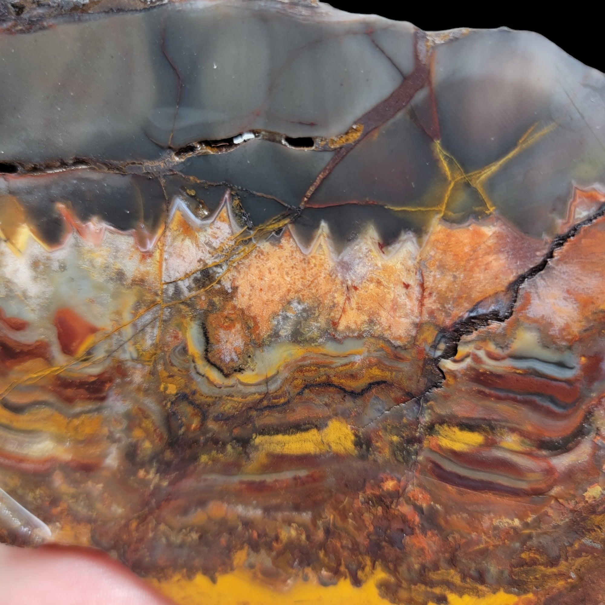 Sarape Jasper Slab! Lapidary Stone Slab! Crazy Lace Relative - LapidaryCentral