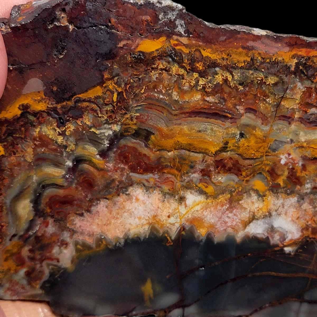 Sarape Jasper Slab! Lapidary Stone Slab! Crazy Lace Relative - LapidaryCentral