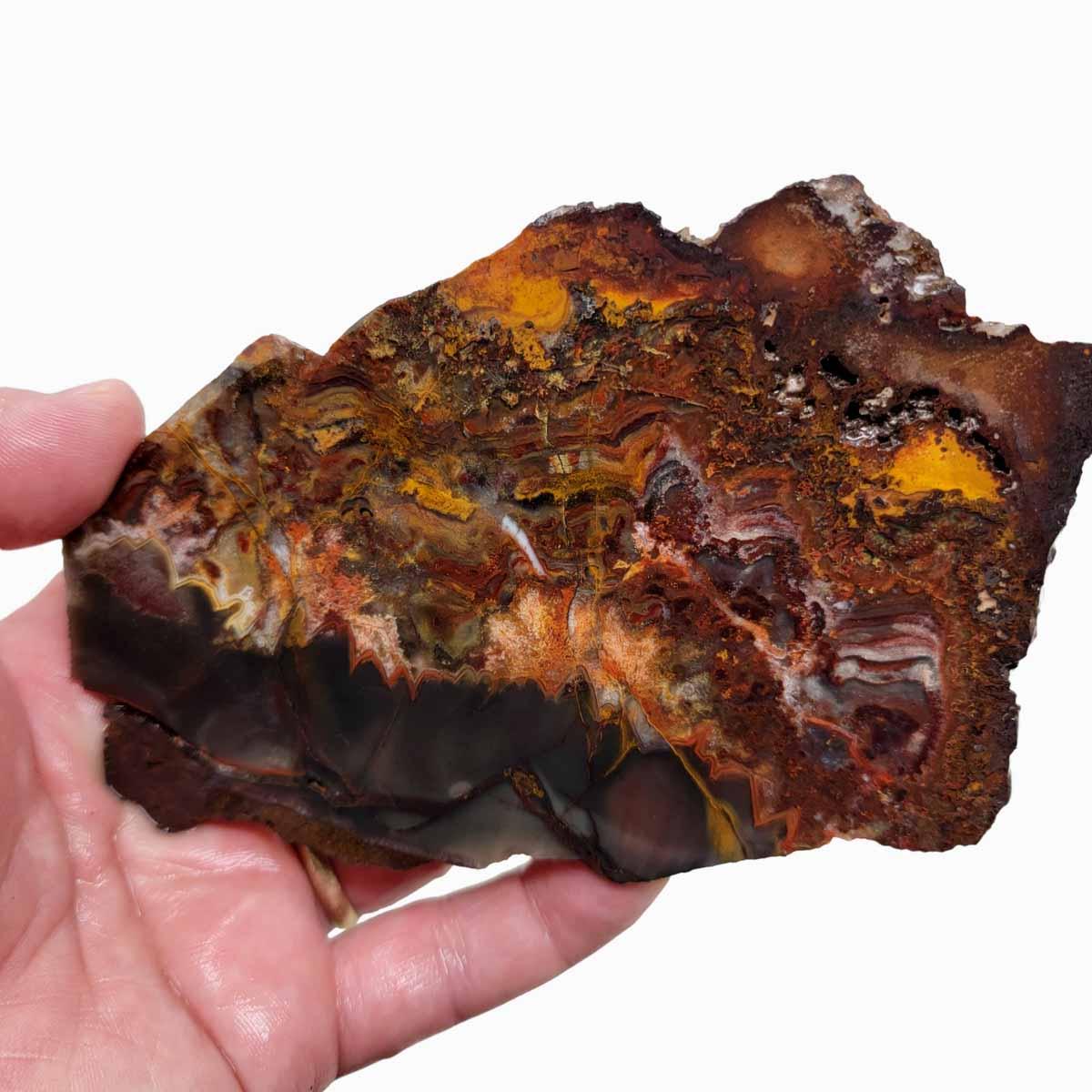 Sarape Jasper Slab! Lapidary Stone Slab! Crazy Lace Relative - LapidaryCentral