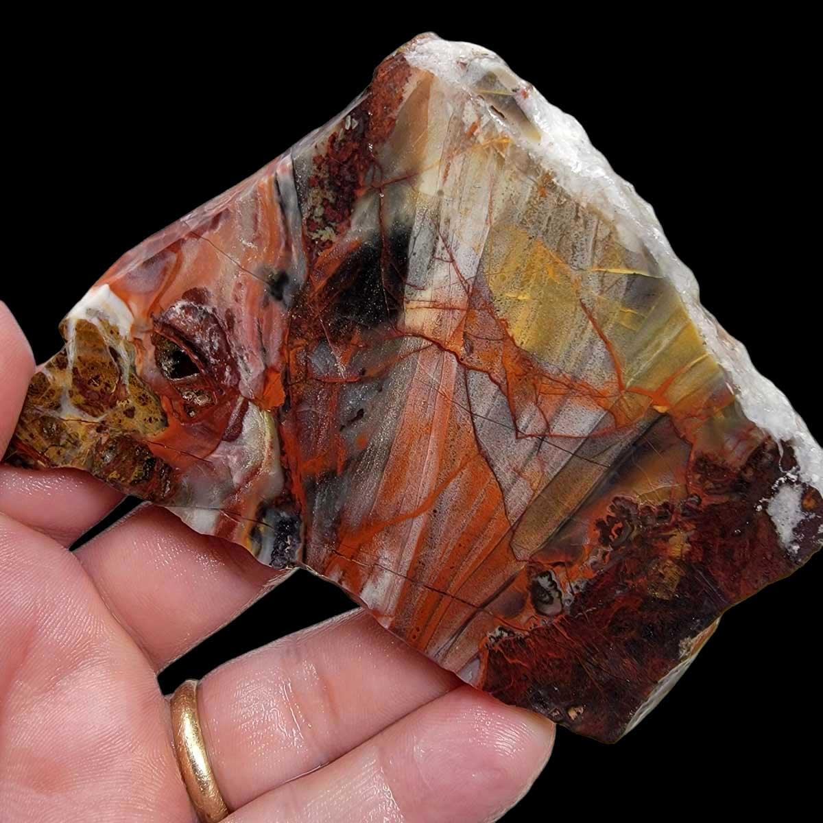 Sarape Jasper Slab! Lapidary Stone Slab! Crazy Lace Relative - LapidaryCentral