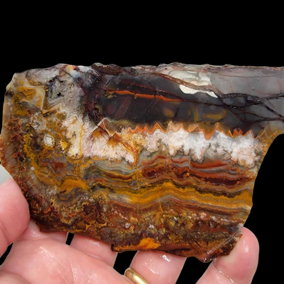 Sarape Jasper Slab! Lapidary Stone Slab! Crazy Lace Relative - LapidaryCentral