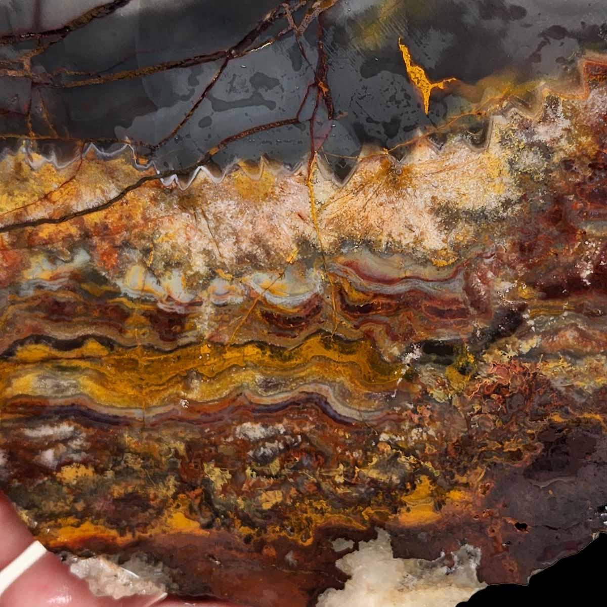 Sarape Jasper Slab! Lapidary Stone Slab! Crazy Lace Relative - LapidaryCentral