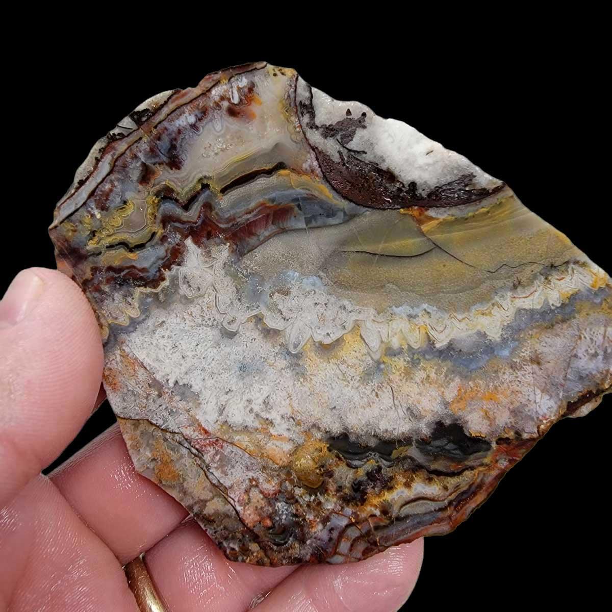 Sarape Jasper Slab! Lapidary Stone Slab! Crazy Lace Relative - LapidaryCentral