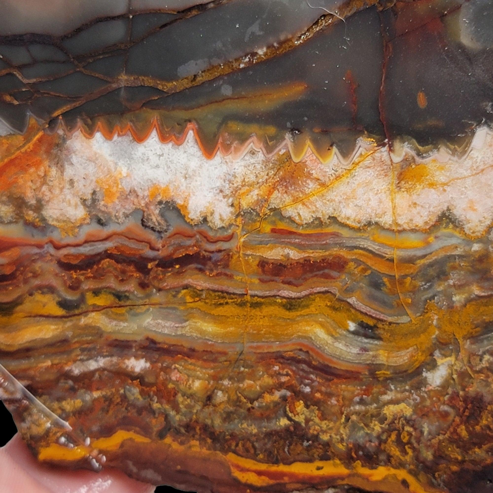 Sarape Jasper Slab! Lapidary Stone Slab! Crazy Lace Relative - LapidaryCentral