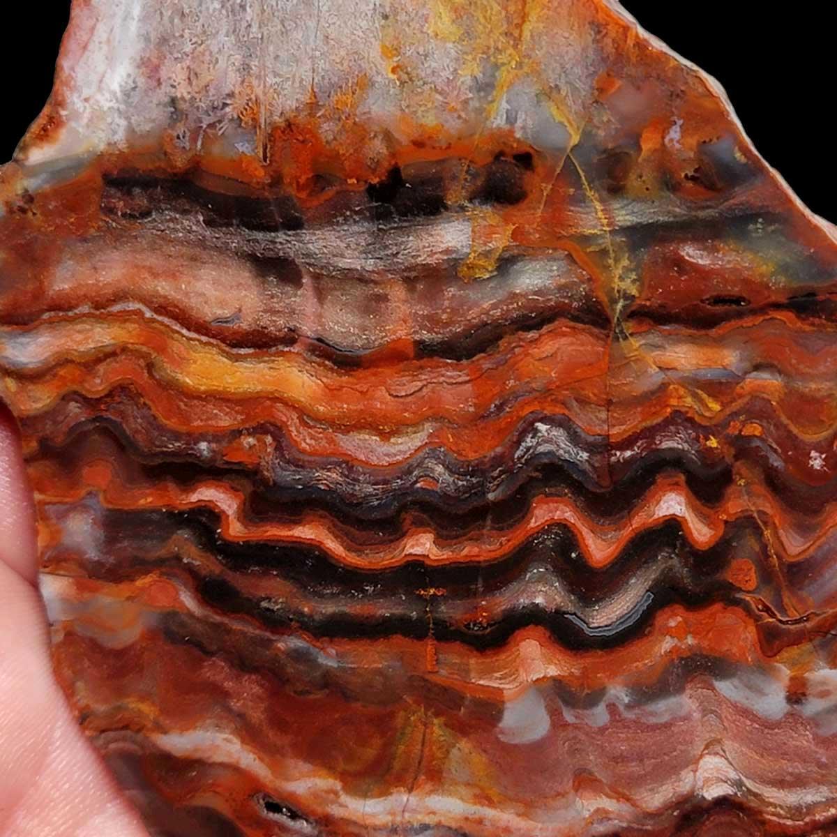 Sarape Jasper Slab! Lapidary Stone Slab! Crazy Lace Relative - LapidaryCentral