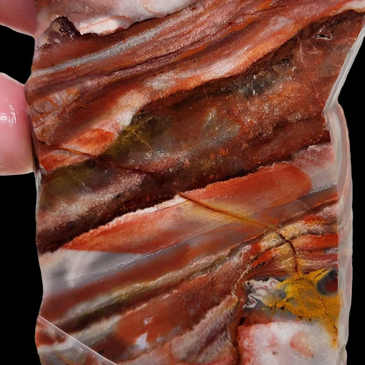 Sarape Jasper Slab! Lapidary Stone Slab! Crazy Lace Relative - LapidaryCentral