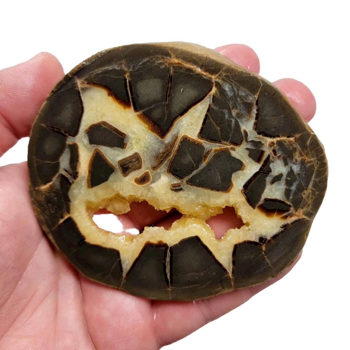 Septarian Nodule Slab! Lapidary Stone Slab! - LapidaryCentral