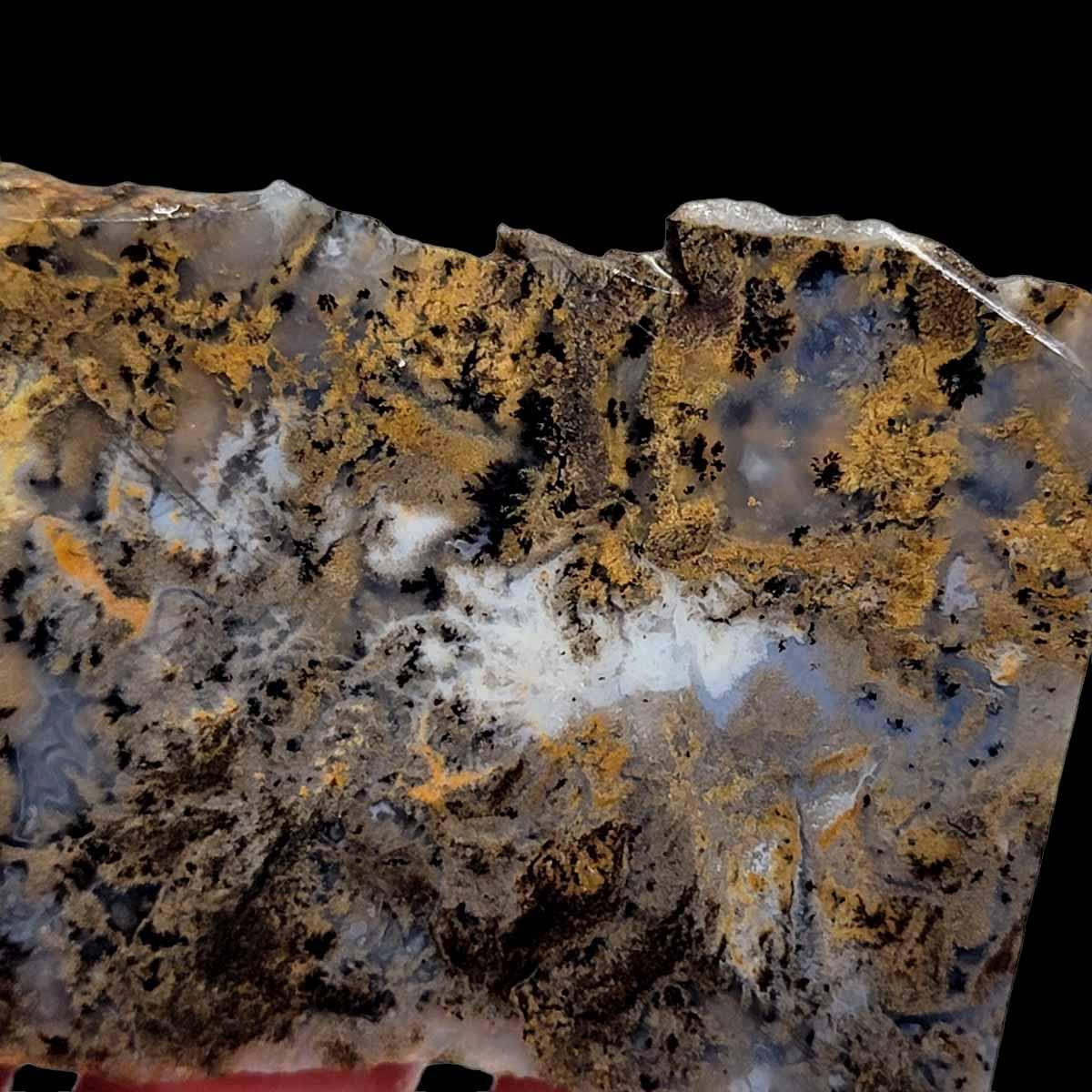 Sheep Creek Plume Agate Slab! Lapidary Stone Slab! - LapidaryCentral