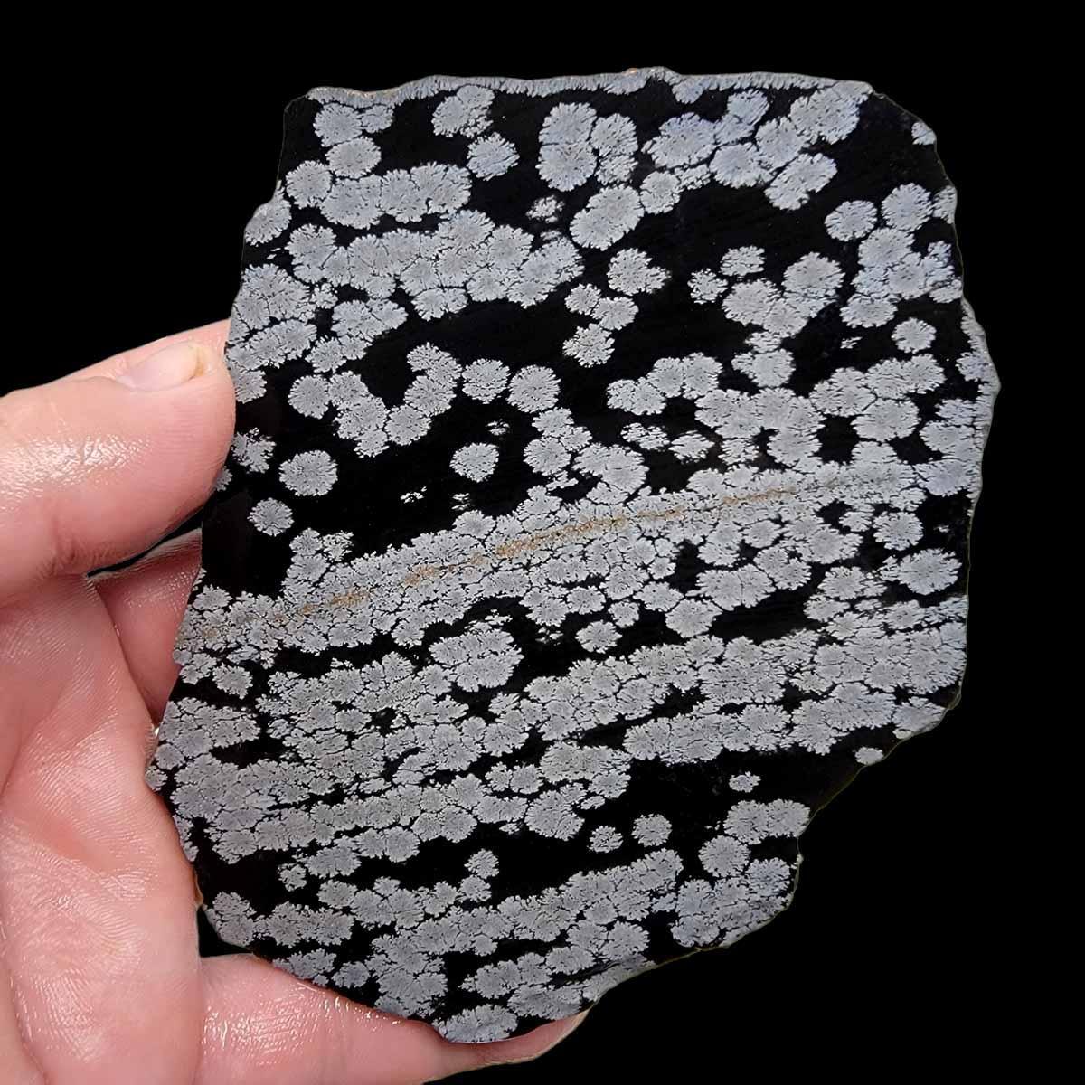 Snowflake Obsidian Slab!  Lapidary Stone Slab! - LapidaryCentral