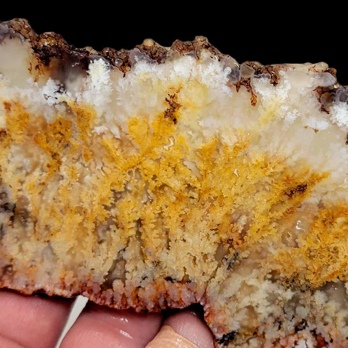 HUGE Stinking Water Plume Agate Slab! Lapidary Stone Slab! - LapidaryCentral