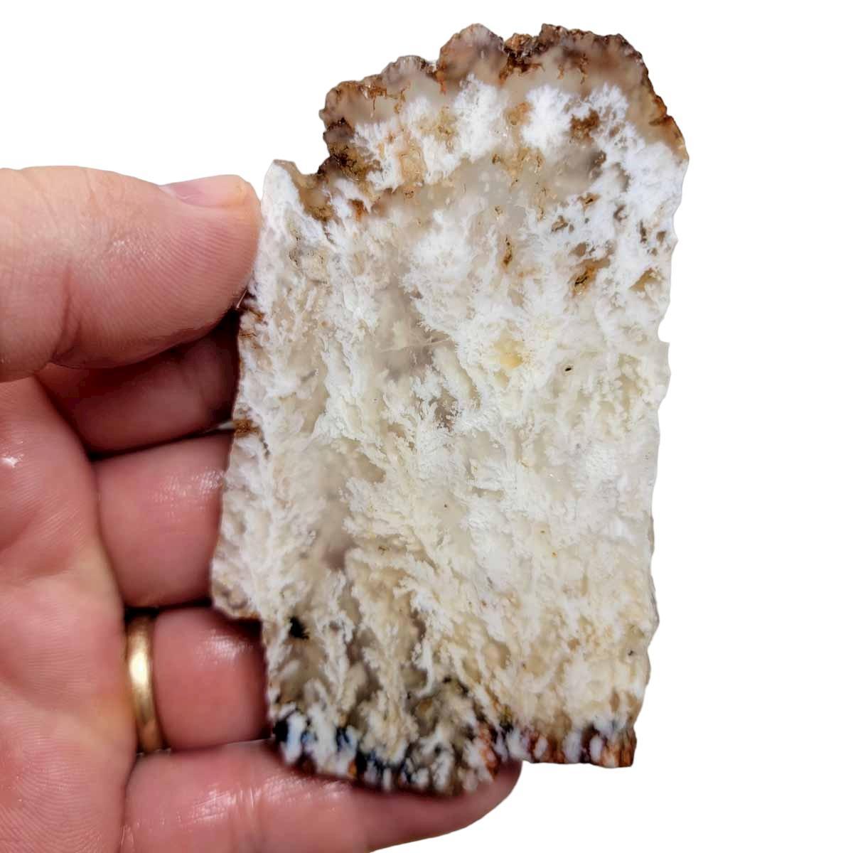 Stinking Water Plume Agate Slab! Lapidary Stone Slab! - LapidaryCentral