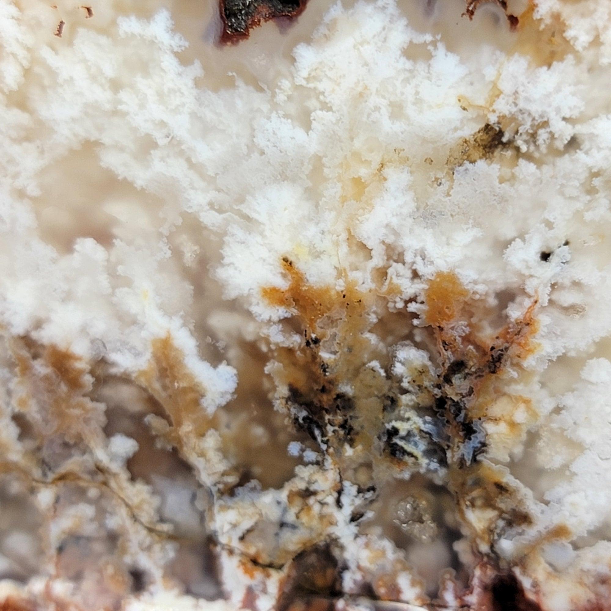 Stinking Water Plume Agate Slab! Lapidary Stone Slab! - LapidaryCentral