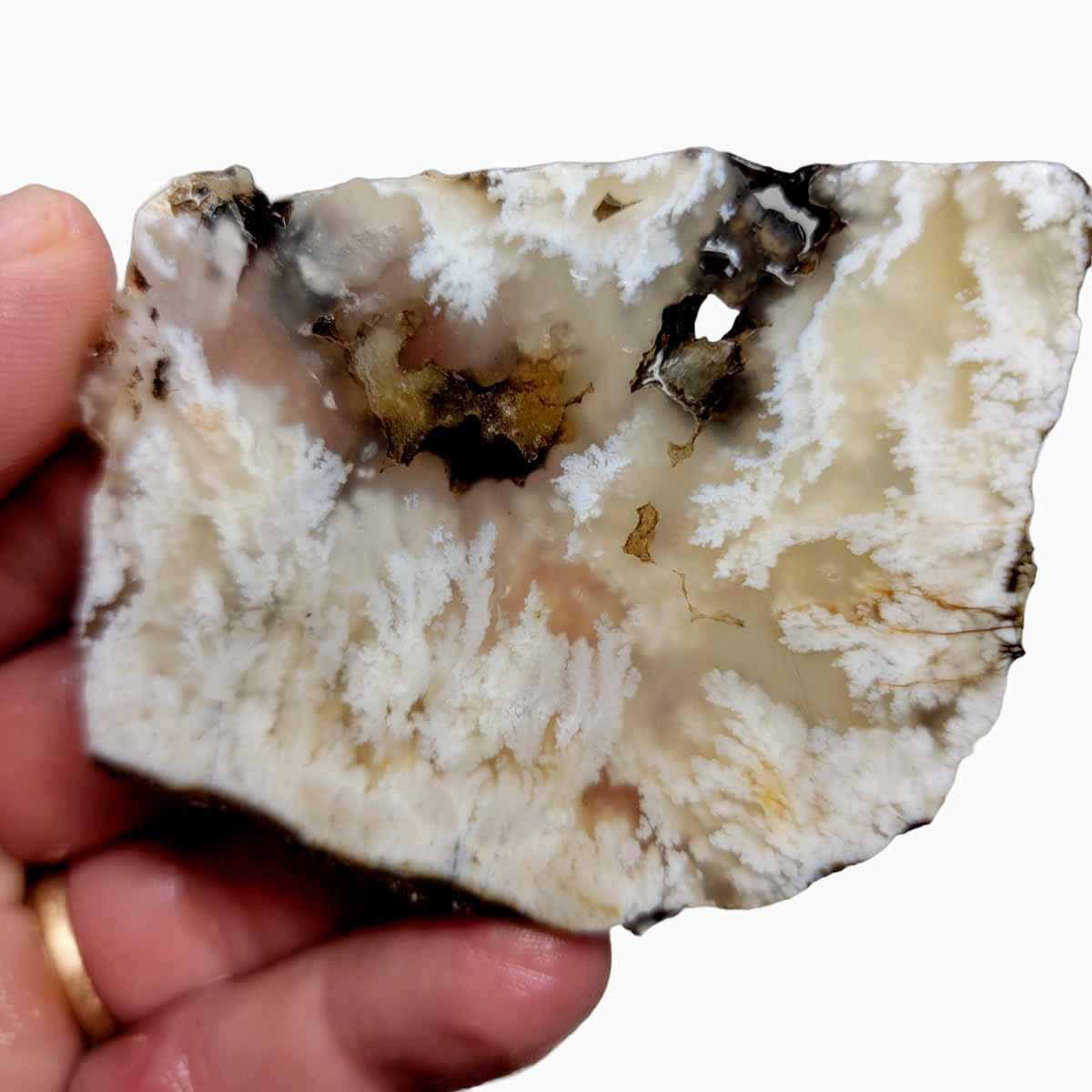Stinking Water Plume Agate Slab! Lapidary Stone Slab! - LapidaryCentral